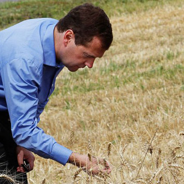 Д.Медведев изменил процесс субсидирования сельхозпроизводителей.